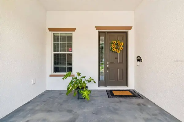 10524 MISTFLOWER LN, Tampa, FL 33647
