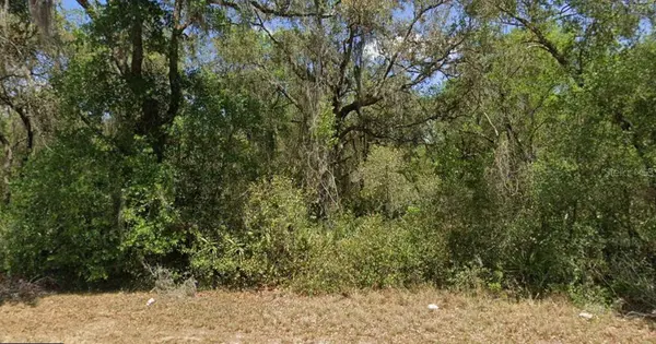 21175 SE 142ND LN, Umatilla, FL 32784