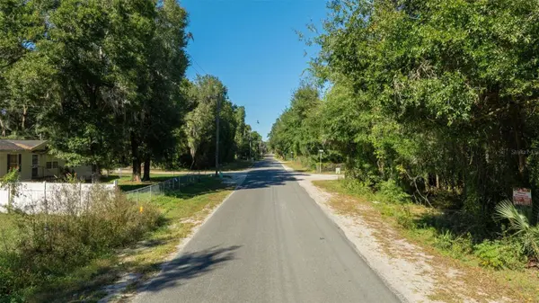 0 NE 164TH LN LOTS 53-55 LN, Citra, FL 32113