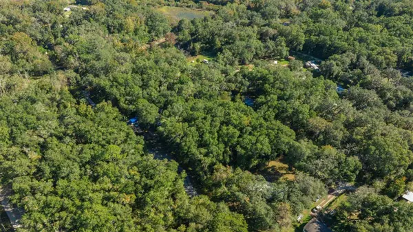 0 NE 164TH LN LOTS 53-55 LN, Citra, FL 32113