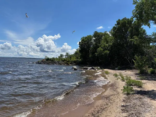 06-3642-000 Little Oak, Angle Inlet, MN 56711
