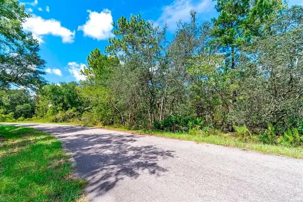 76 FISHER RUN TER, Ocklawaha, FL 32179
