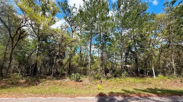 76 FISHER RUN TER, Ocklawaha, FL 32179