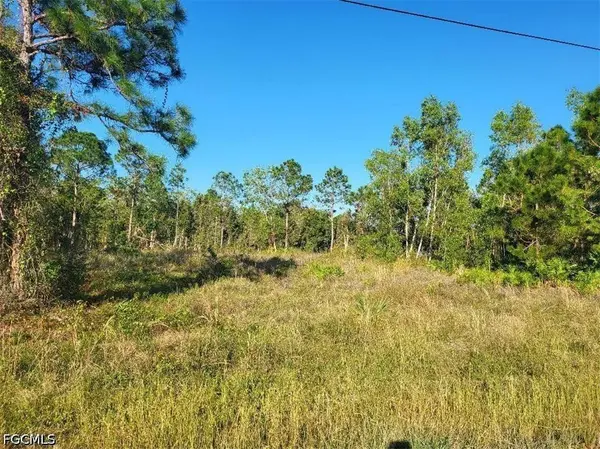 519 Grant BLVD, Lehigh Acres, FL 33974