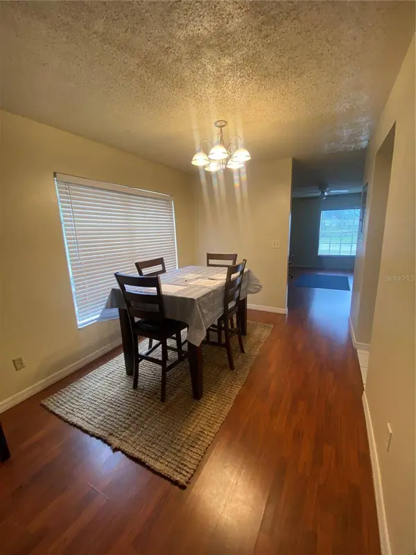 5166 SUNRIDGE PALMS DR, Tampa, FL 33617