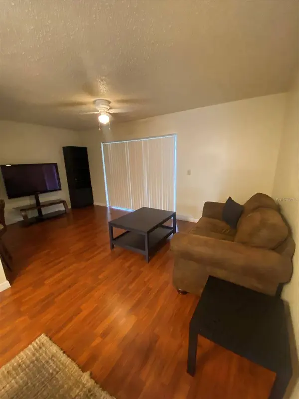 5166 SUNRIDGE PALMS DR, Tampa, FL 33617