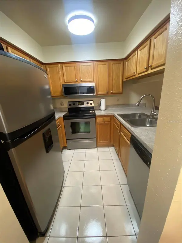 5166 SUNRIDGE PALMS DR, Tampa, FL 33617