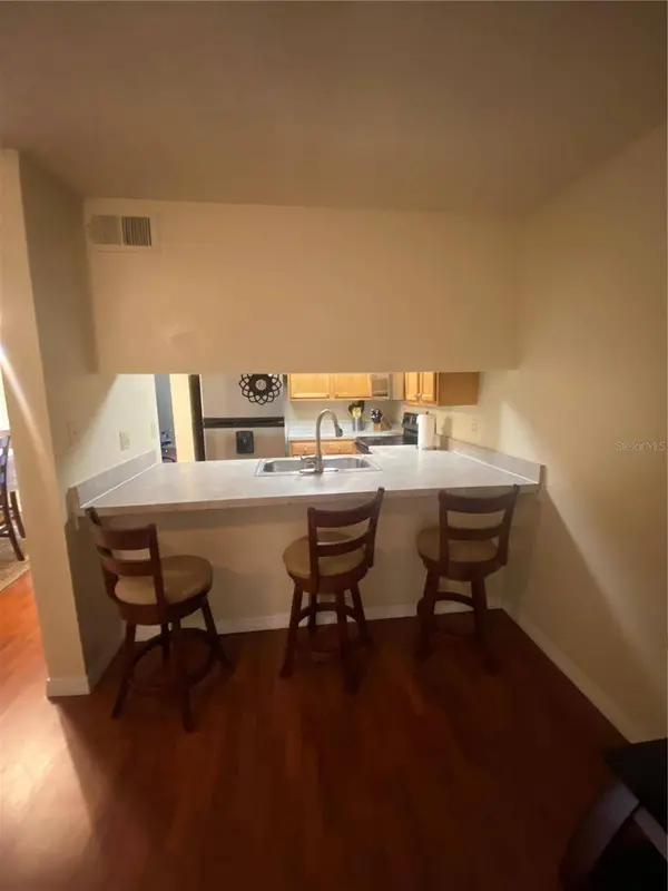 5166 SUNRIDGE PALMS DR, Tampa, FL 33617