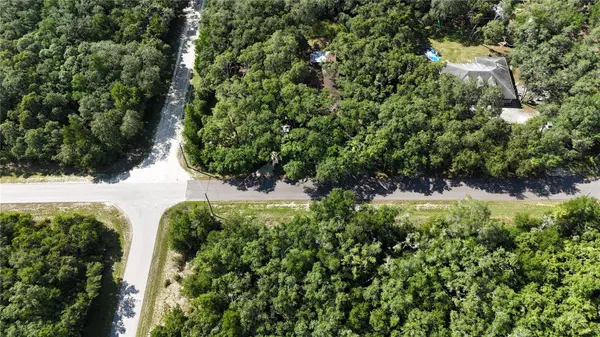 34146 UMBRELLA ROCK DR, Webster, FL 33597
