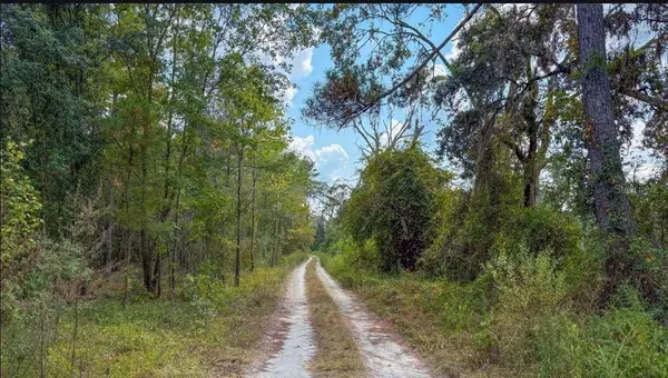 TBD Lot 35 SE US 41 HWY, White Springs, FL 32096