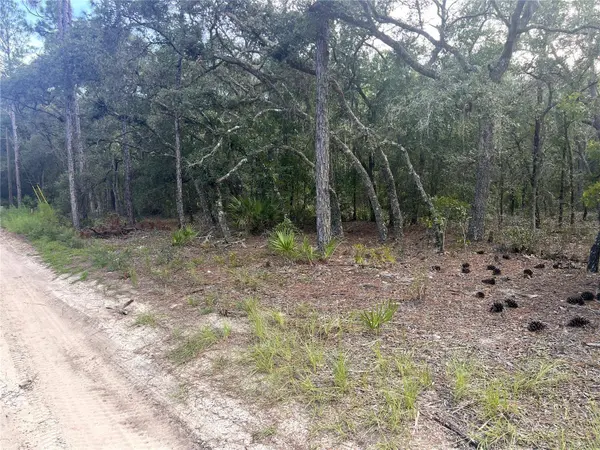 NE 85TH ST, Bronson, FL 32621