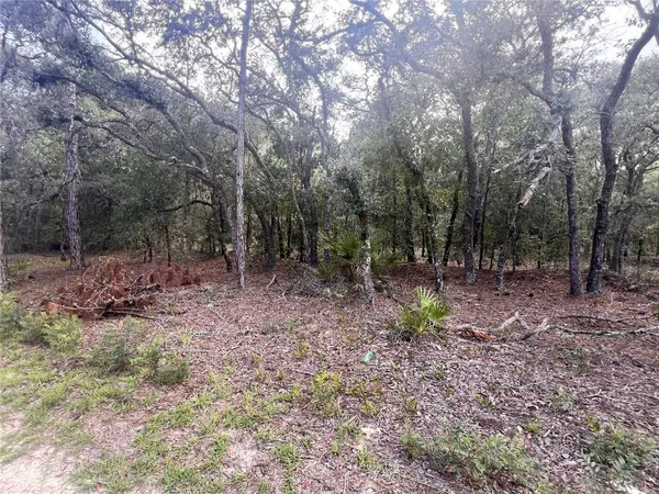 NE 85TH ST, Bronson, FL 32621