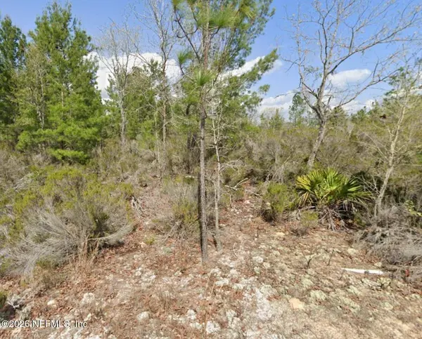 0 SOMERSET AVE, Interlachen, FL 32148