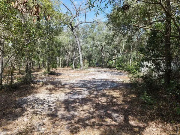 8211 NW 168TH LN, Trenton, FL 32693