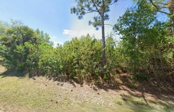 13243 CHIMINIELLO DR