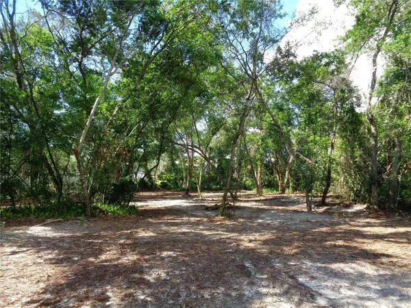 8007 CHAUCER DR, Weeki Wachee, FL 34607