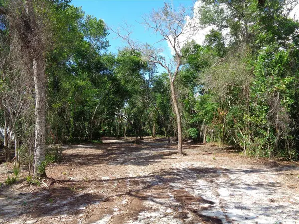 8007 CHAUCER DR, Weeki Wachee, FL 34607