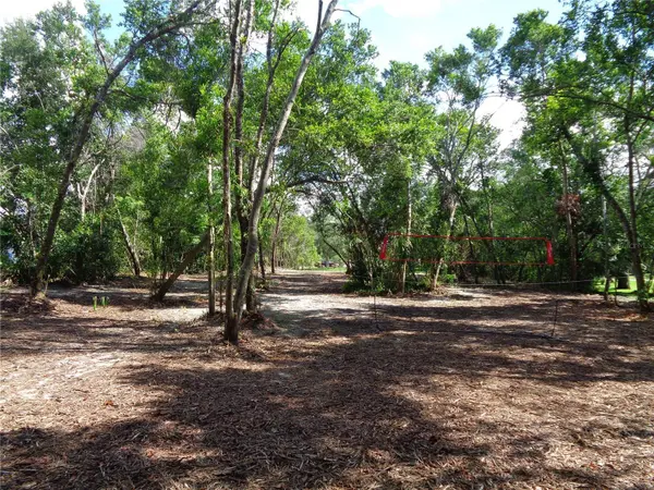 8007 CHAUCER DR, Weeki Wachee, FL 34607
