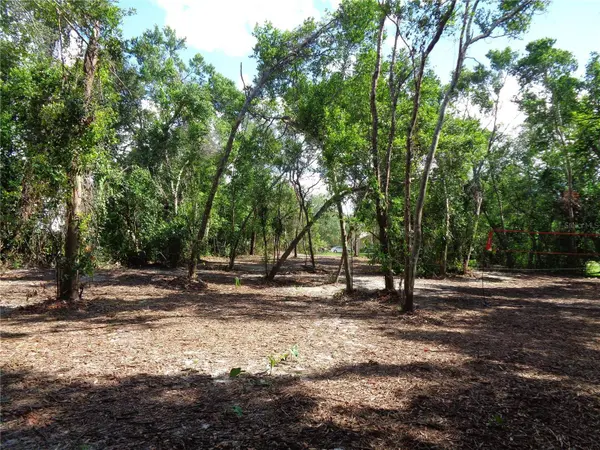 8007 CHAUCER DR, Weeki Wachee, FL 34607