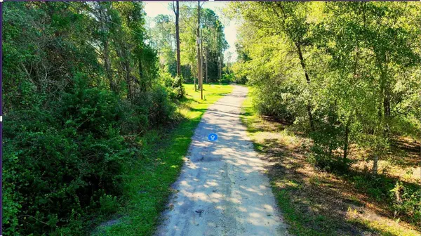 TBD NE 66TH AVE, Citra, FL 32113