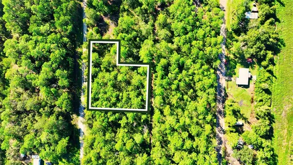 TBD NE 66TH AVE, Citra, FL 32113