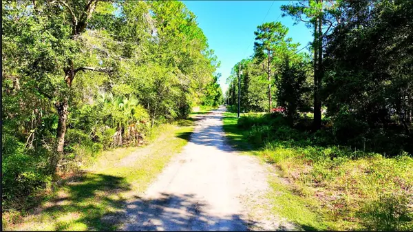 TBD NE 66TH AVE, Citra, FL 32113