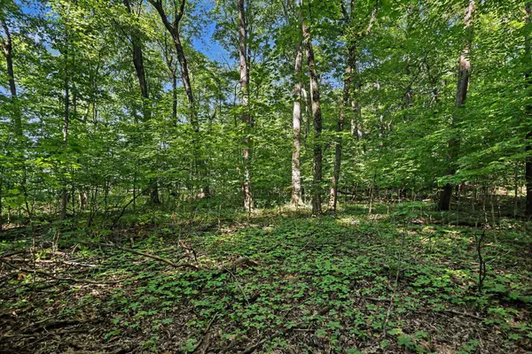13986 Peninsula Drive, Galesburg, MI 49053