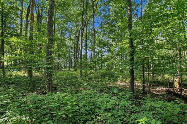 13986 Peninsula Drive, Galesburg, MI 49053