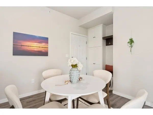 610 Cedar #4, Windsor, CO 80550