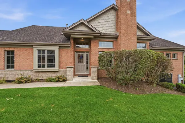 20344 Mackinac Point DR, Frankfort, IL 60423