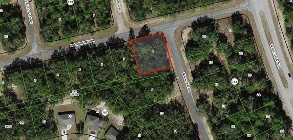 1230 W Lorraine DR, Citrus Springs, FL 34434
