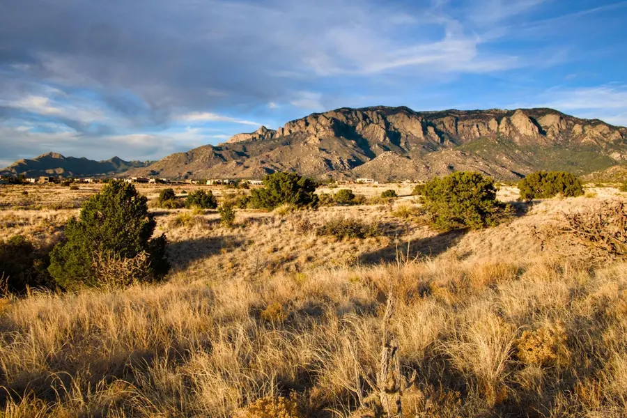 Academy Hills Park