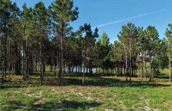 9717 MORTON JONES RD, Gotha, FL 34734