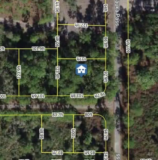 XXX MALAUKA PASS PASS, Ocklawaha, FL 32179