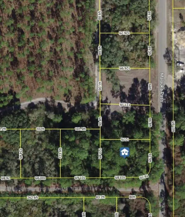 XXX MALAUKA PASS PASS, Ocklawaha, FL 32179