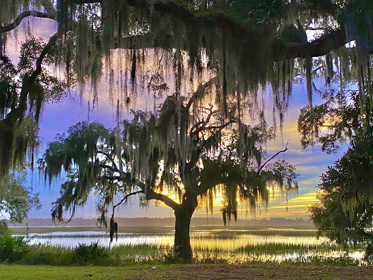 SpanishMoss-BeaufortSC