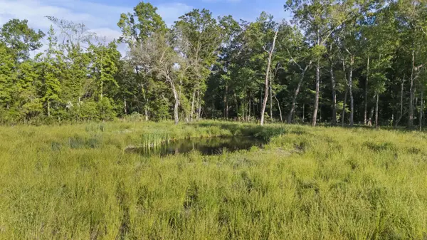 5339 Highway 162, Hollywood, SC 29449