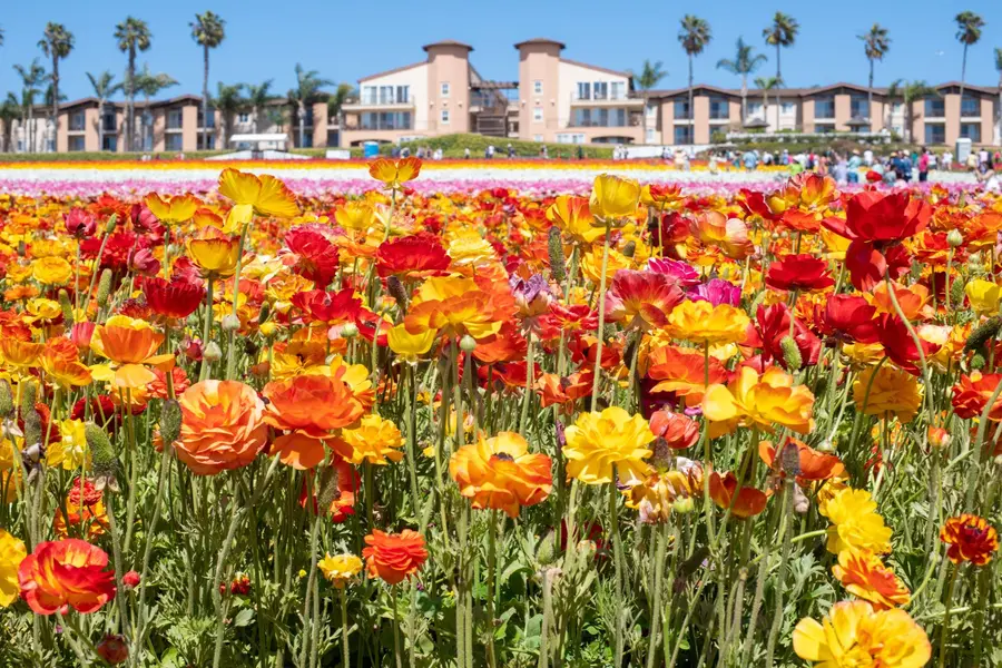 Carlsbad