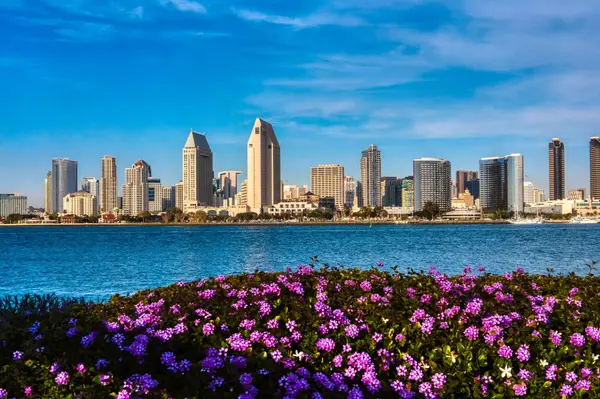 Christy Hines California Realtor Dinstinctive Homes CA (46)