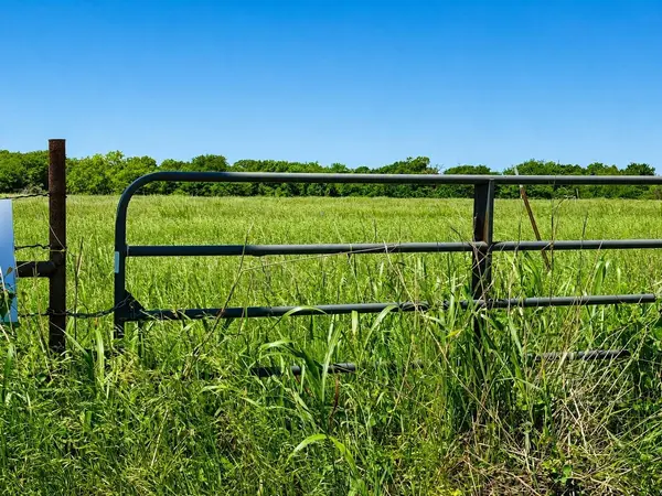 TBD CR 3561, Sulphur Bluff, TX 75481
