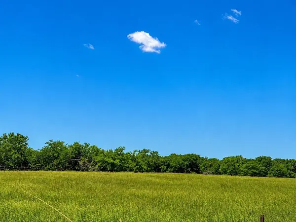 TBD CR 3561, Sulphur Bluff, TX 75481