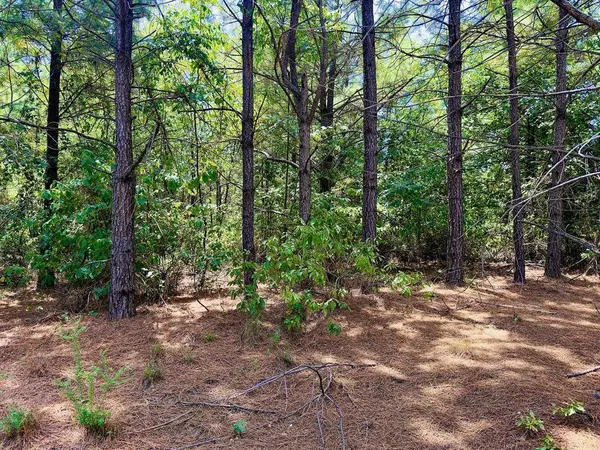 186 Twisted Elm TRL, Broken Bow, OK 74728