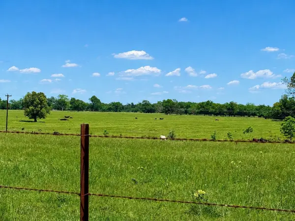 TBD CR 3561, Sulphur Bluff, TX 75481