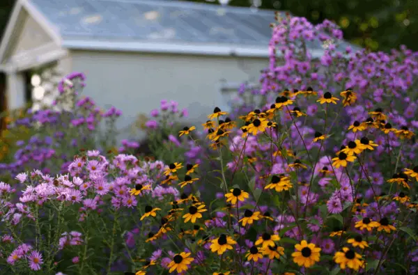 Gardening and Landscaping Tips for Harrisonburg Homeowners,Old Dominion Realty