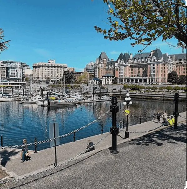James Bay, Victoria: A Community Snapshot for Buyers and Sellers