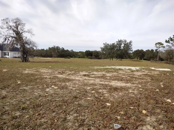 6400 SW 180 CIR #Lot 29, Dunnellon, FL 34432