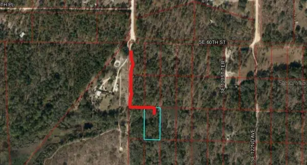 SE 60 ST, Morriston, FL 32668