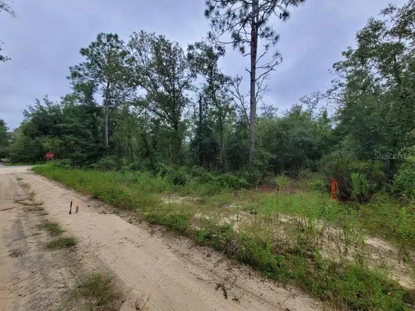 TBD NE 120TH ST, Bronson, FL 32621