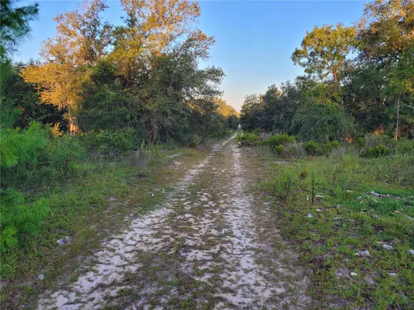 NE 61ST LN, Williston, FL 32696