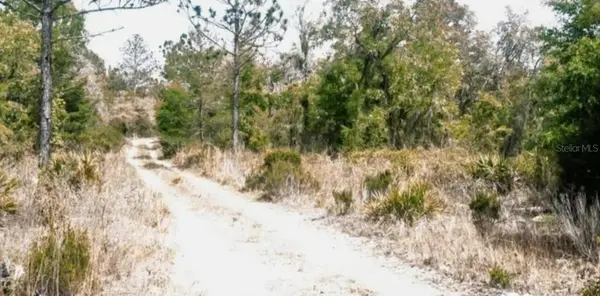 NE 61ST LN, Williston, FL 32696